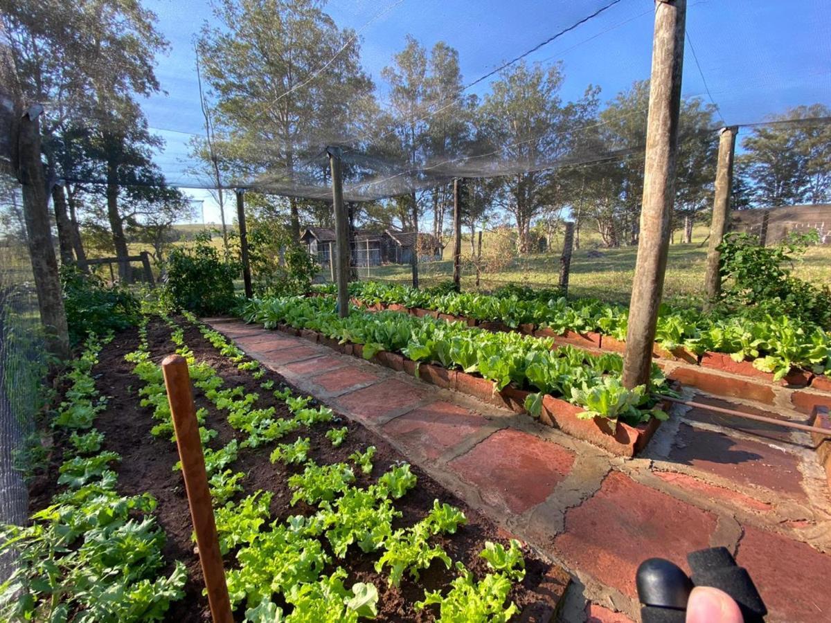 Pousada Fazenda Pinhalzinho Ribeirao Claro Exterior foto