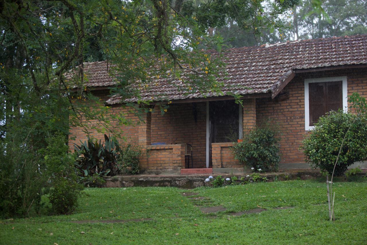 Pousada Fazenda Pinhalzinho Ribeirao Claro Exterior foto