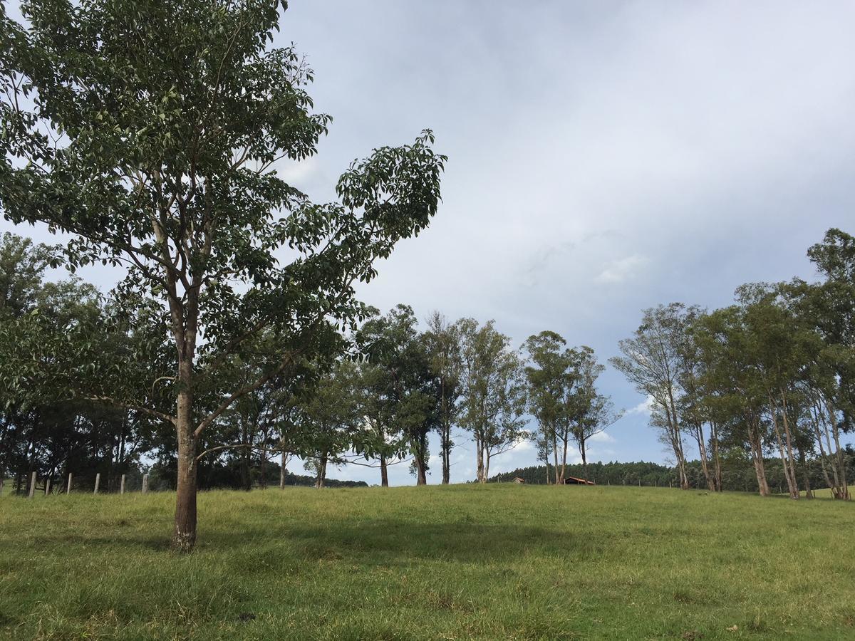Pousada Fazenda Pinhalzinho Ribeirao Claro Exterior foto